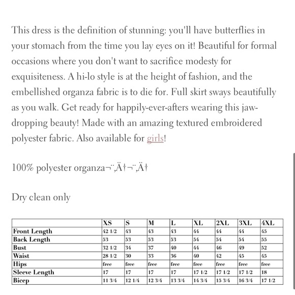 Dainty Jewlls high low “One Enchanted Evening” dress Size M - Picture 6 of 6